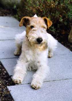 Bild 1 von 14  -  12 kB