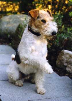 Bild 2 von 14  -  12 kB