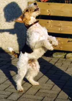 Bild 3 von 14  -  12 kB