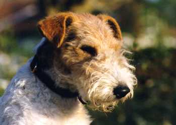 Bild 4 von 14  -  10 kB